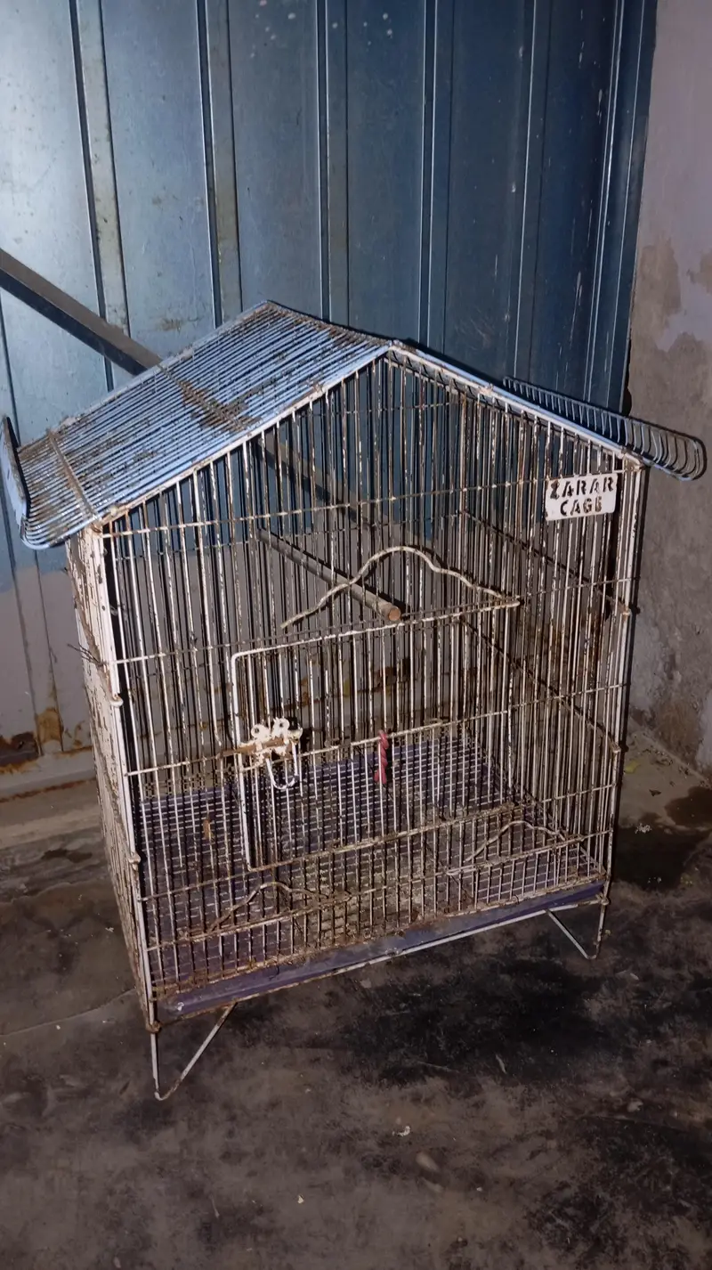 Bird Cage — photo 4