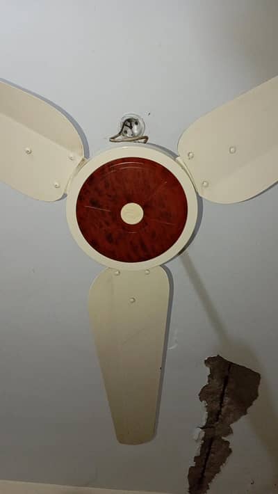 Champion Fancy Ceiling AC Fan Good Air Through Almost in New Condition