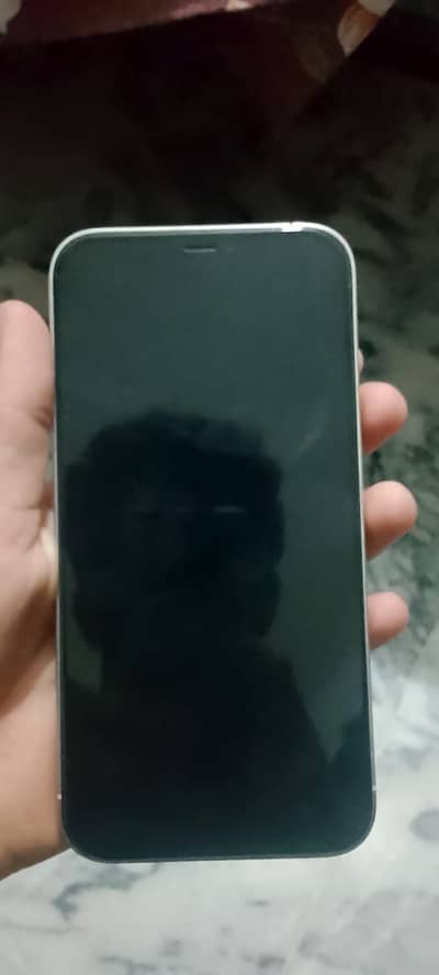 Apple iPhone 12 Pro Max