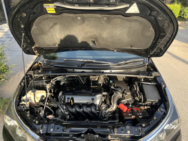 Corolla 13