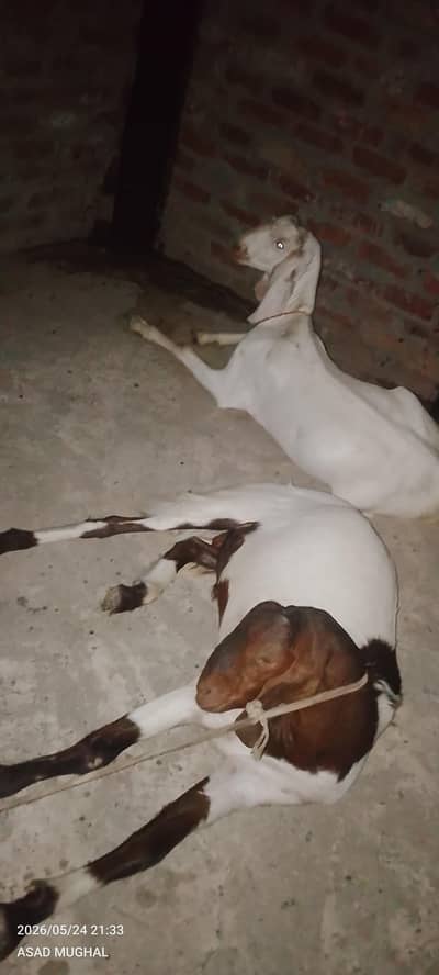 Eid ka tafa 1 lack ka 1