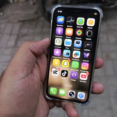 Apple iPhone 12 mini