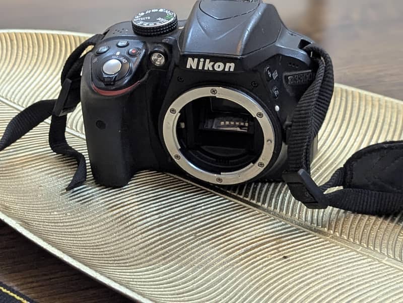Nikon d3300 4