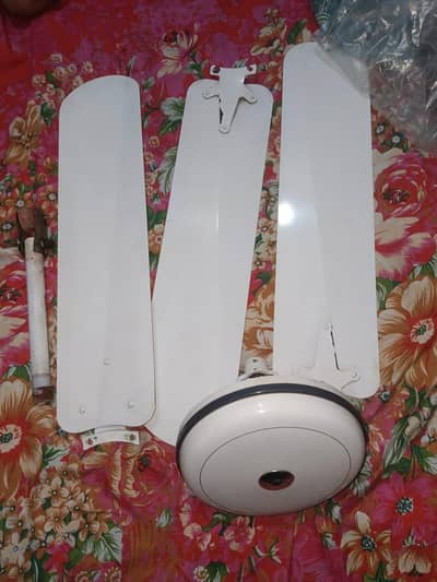 sonic ceiling fan