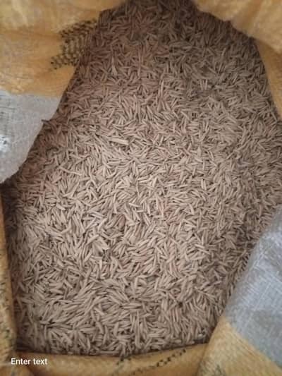 Rice Grains مونجھی دھان for urgent sale