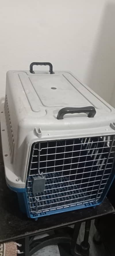 cats cage