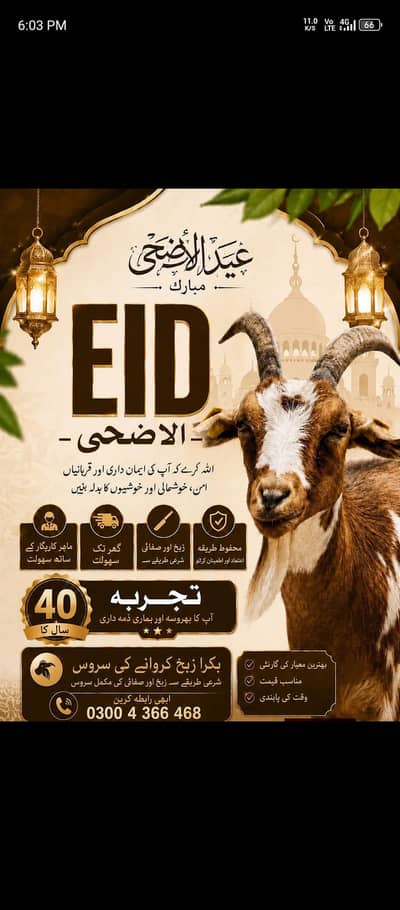Goat Qurbani Services With experienced Team.