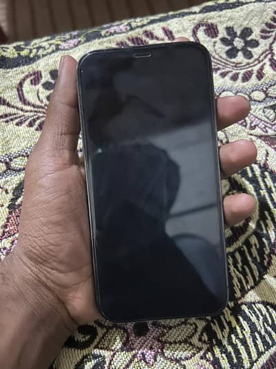 Apple iPhone 12 Pro
