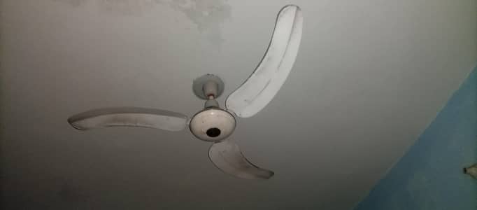 Ceiling Fans