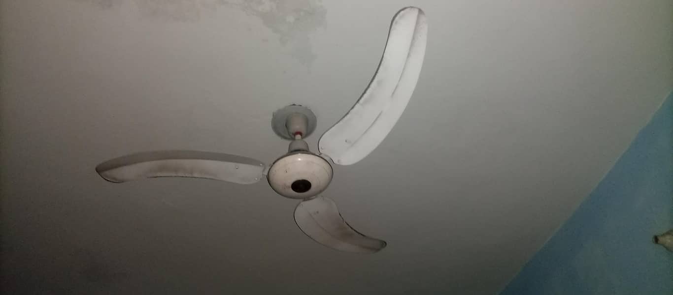 Ceiling Fans 0