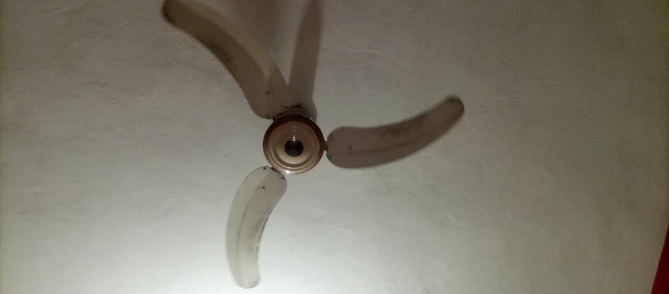 Ceiling Fans 1