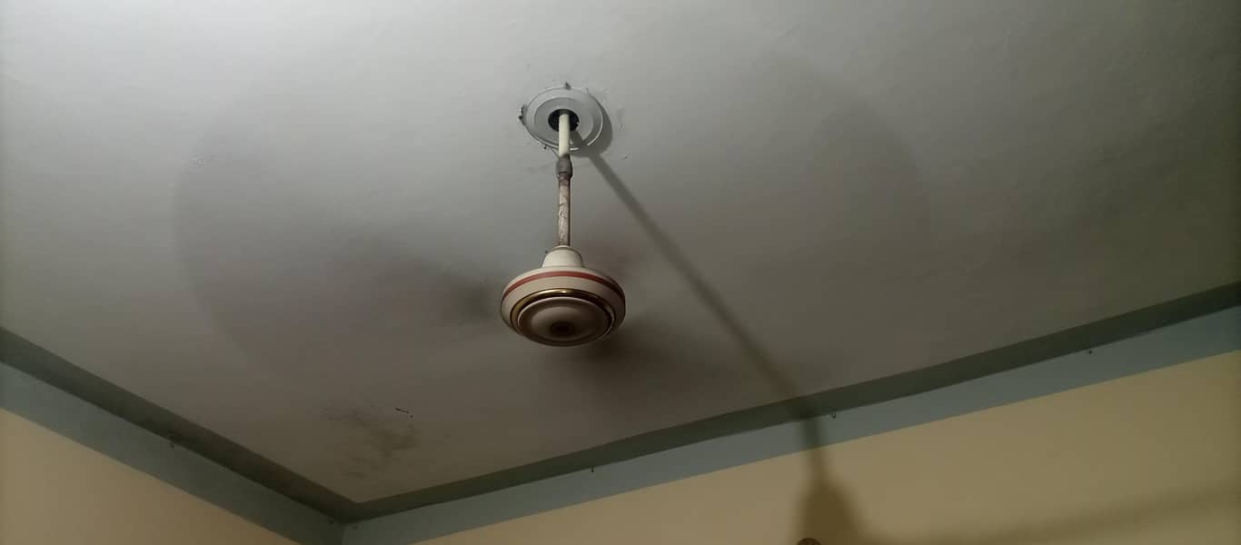 Ceiling Fans 2