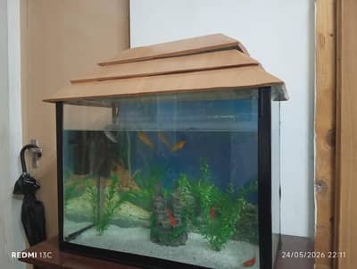 Aquarium with fishes filter and heater installed