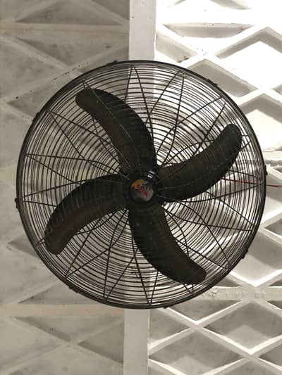Royal pedestal ceiling fan