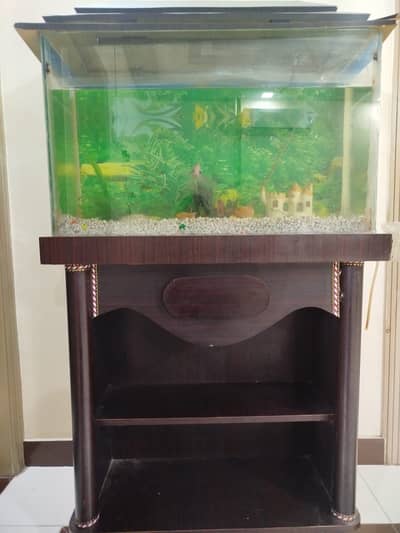 2.5 ft Aquarium, Complete Wood