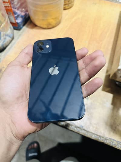 Iphone 12 - WaterPack - 99 Health