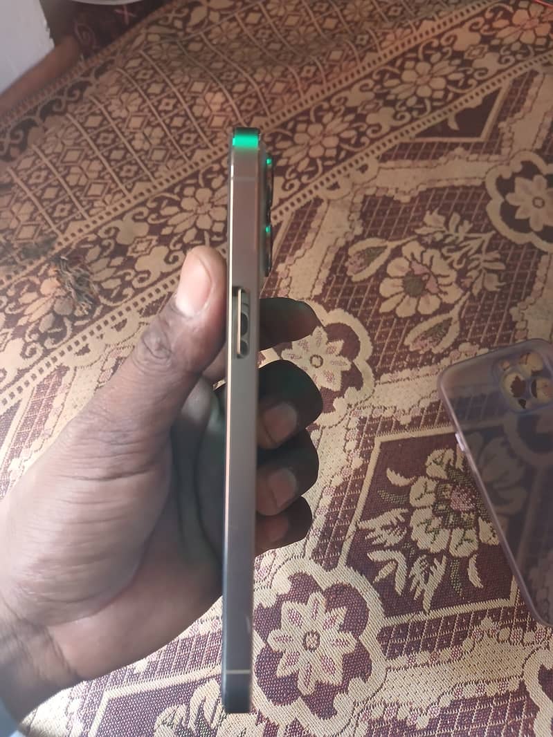 iPhone 13 Pro Max 1