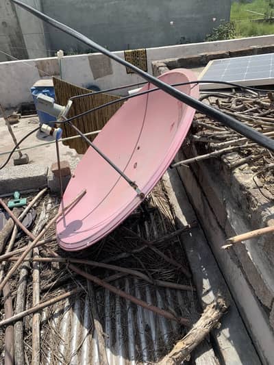 Dish for sale