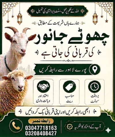 Qasai For Qurbani/ 03208408427