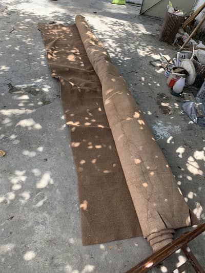 Carpet 03115391419