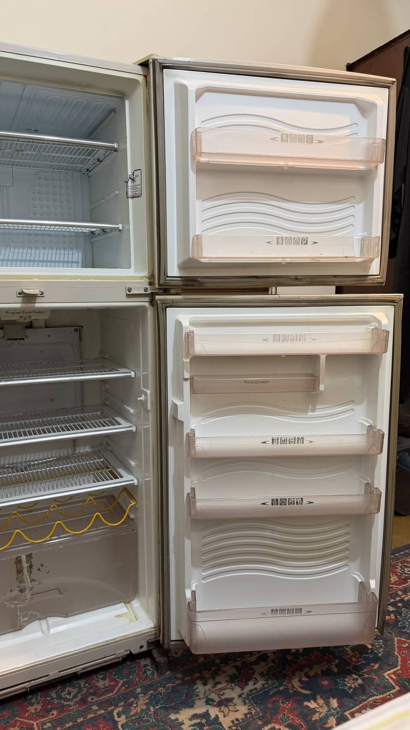 fridge 2