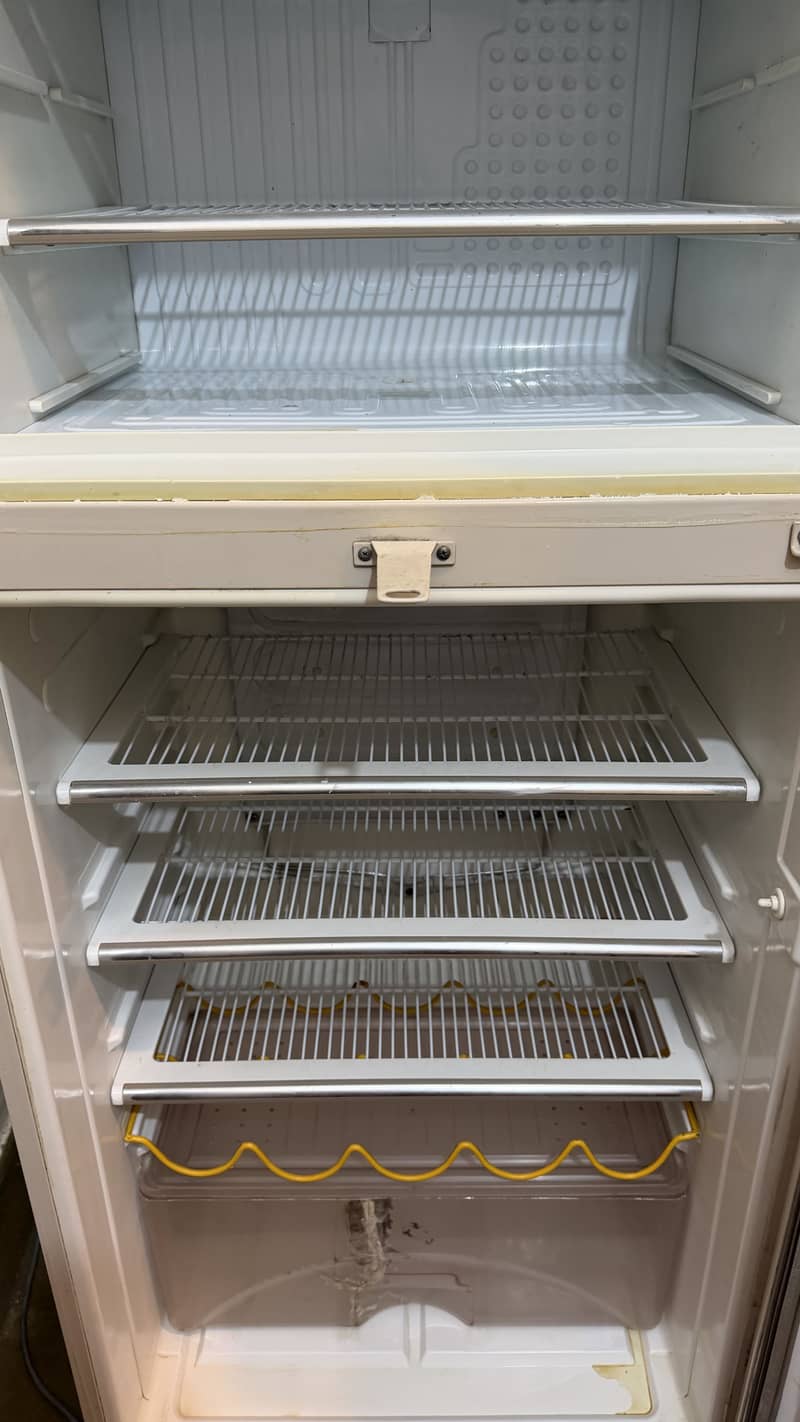 fridge 4