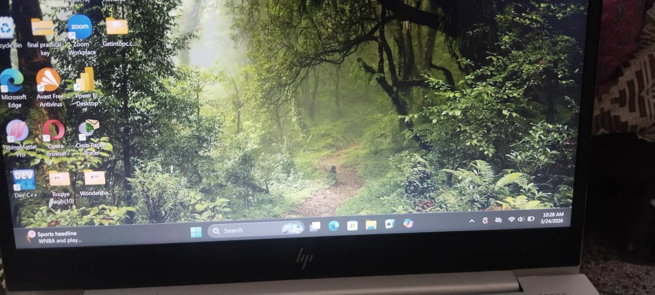window 11 pro 0