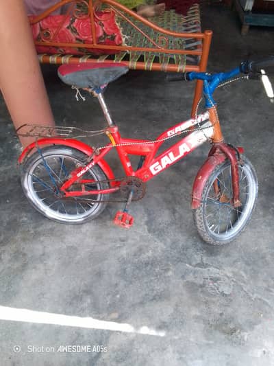Cycle