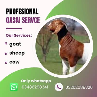Professional Qasai/butcher service available for goat, sheep and cow