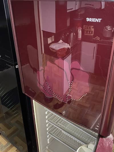 Orient fridge