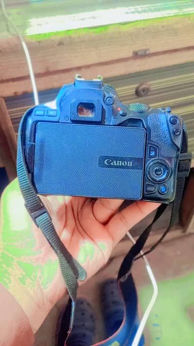canon 250D