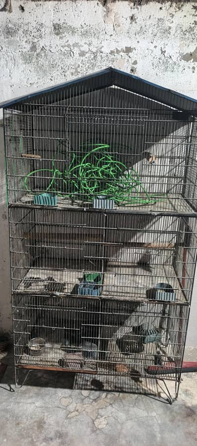 cage and breeding boxx