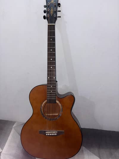 acoustic guitar