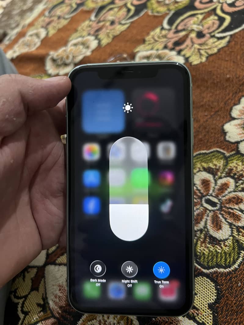Apple iPhone 11 0