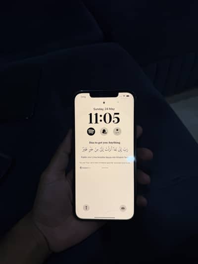 Apple iPhone 12 Pro Max