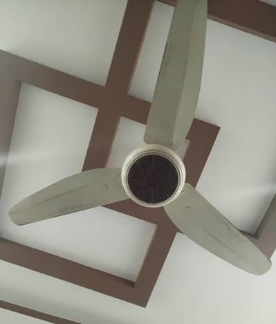opal brand Fan