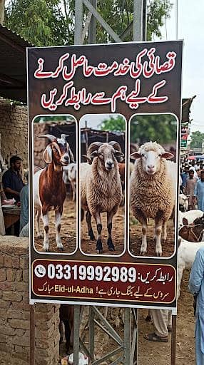 Qasai service