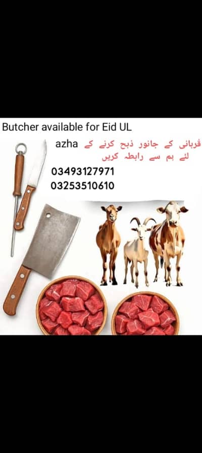 Qasai// butcher