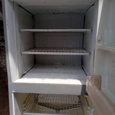 Pel frige for sell