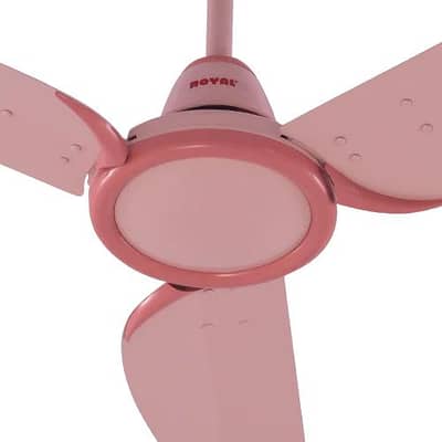 Royal fan pink colour urgent sell