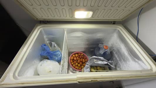 Waves deep freezer working fine