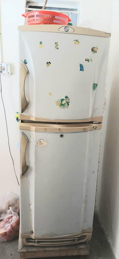 PEL Fridge for Sale – used but A1 Cooling & Reasonable Price