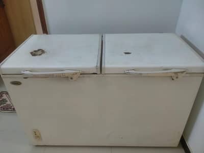 Waves double door deep freezer