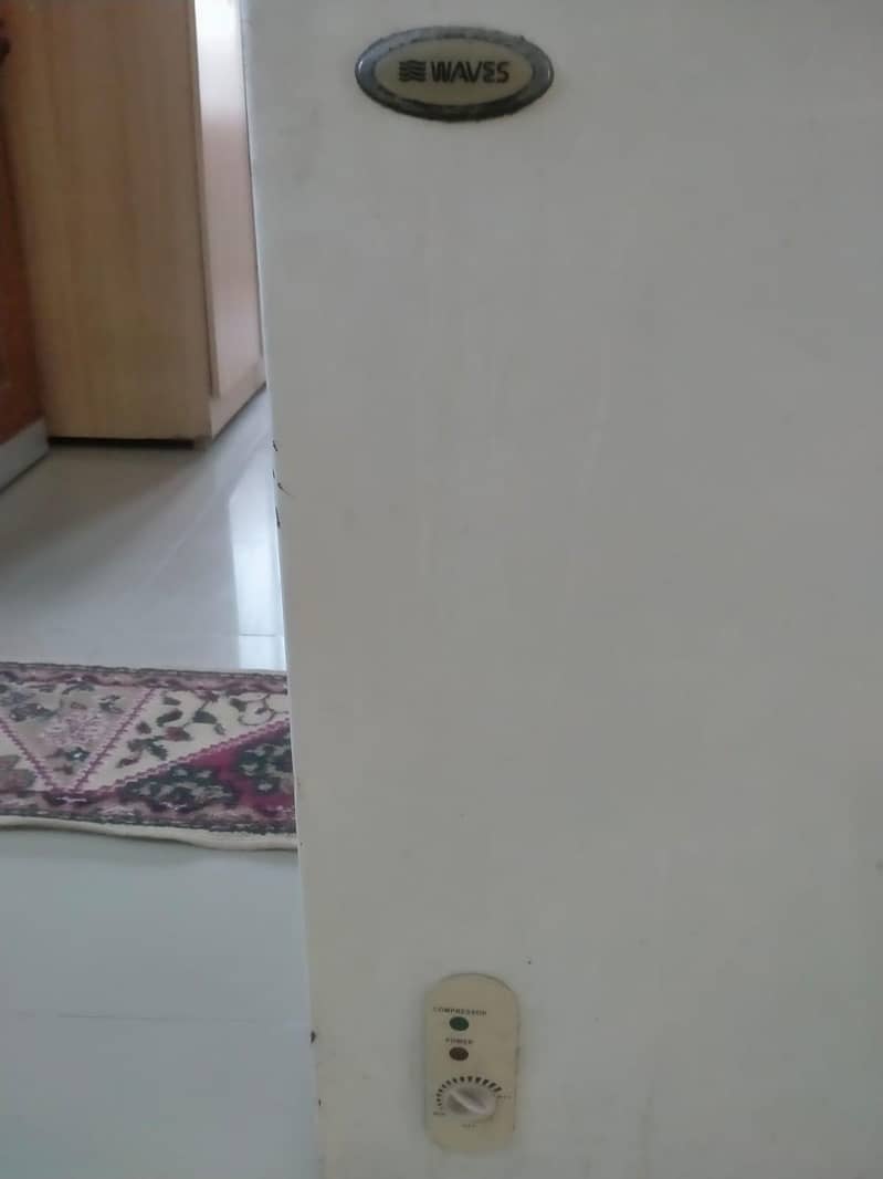 Waves double door deep freezer 1