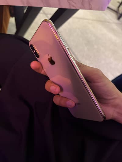 Xs Max Dual PTA 256