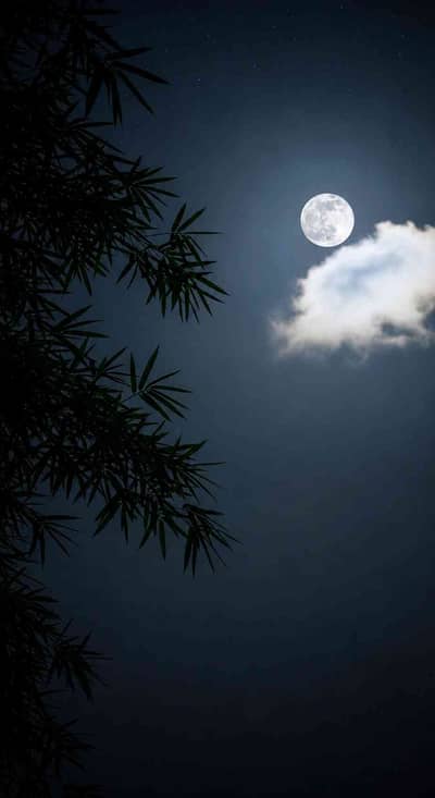 گمنام 