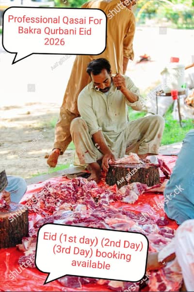 Professional Qasai Available Bakra Qurbani