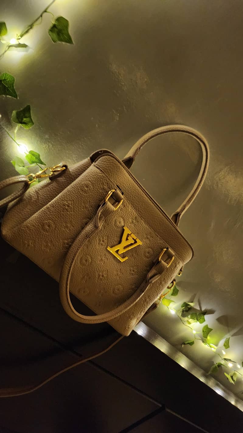 hand bag 2