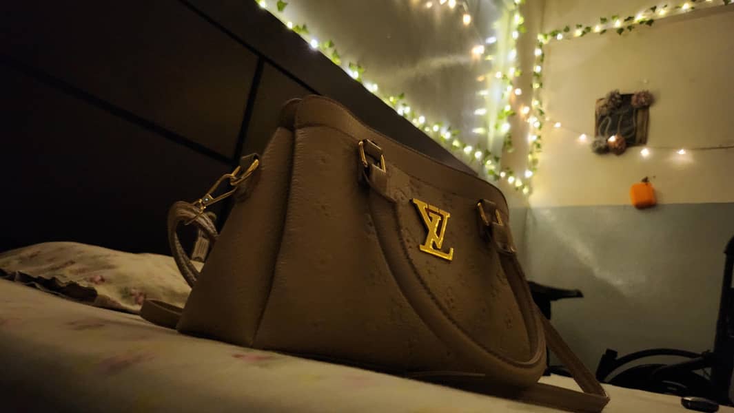 hand bag 4