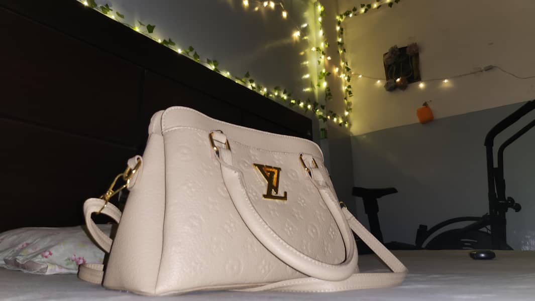 hand bag 6